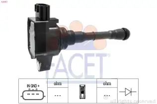 Ateşleme Bobini  FACET 9.6451