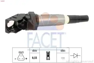 Ateşleme Bobini  FACET 9.6507