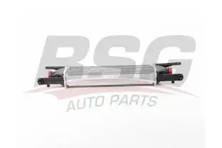 BSG 25535008 Turbo Radyatörü