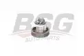 BSG 25500001 Devirdaim