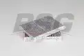 BSG 15145019 Polen Filtresi