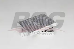 BSG 15145019 Polen Filtresi