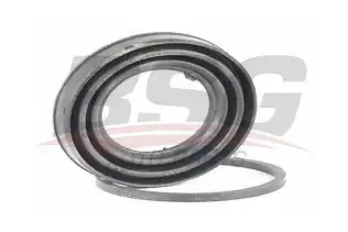 BSG 30251024 Kaliper Tamir Takımı Arka