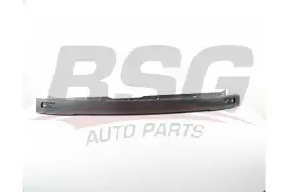 BSG 30922164 Tampon Kaplaması Arka