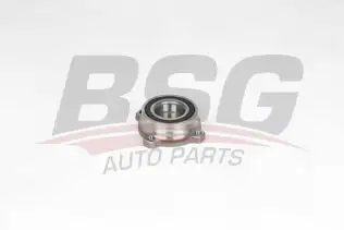 BSG 15600001 Porya Arka