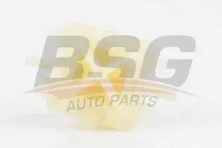BSG 30995036 Far Klipsi