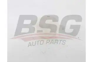 BSG 70550012 Radyatör Yedek Su Deposu