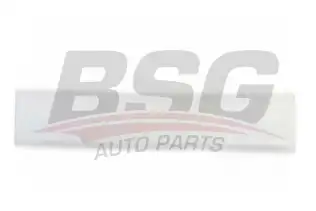 BSG 65924007 Kapı Bandı Ön Sağ