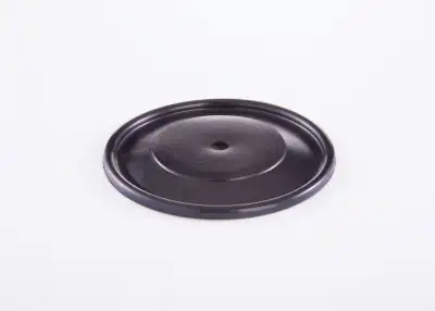 BOSCH 2420503002 Diyafram - 27. Görsel