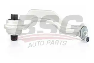 BSG 60310134 Rotilli Kol Sağ