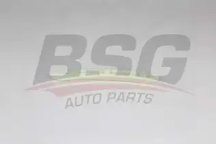 BSG 60109041 Kızak