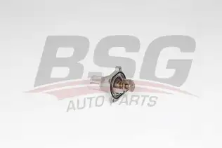 BSG 65126011 Termostat