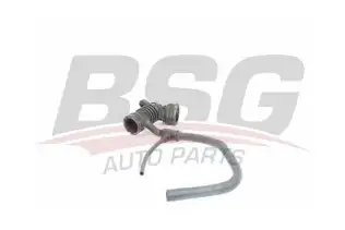 BSG 25720010 Hava Filtre Hortumu