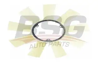 BSG 60515004 Pervane