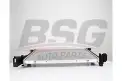BSG 60520048 Su Radyatörü