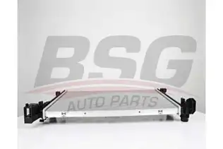 BSG 60520048 Su Radyatörü
