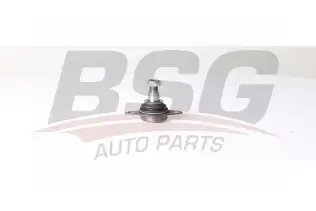 BSG 15310183 Rotil Alt
