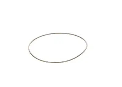 BOSCH 2440210044 O-Ring - 6. Görsel