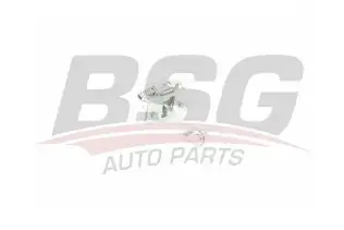 BSG 75975016 Kapı Gergisi Ön
