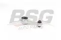 BSG 75700020 Şanzıman Takozu