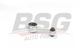 BSG 75700020 Şanzıman Takozu