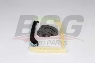 BSG 60102017 Eksantrik Zincir Seti