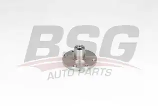 BSG 75600002 Porya Ön