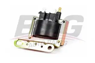 BSG 65835010 Ateşleme Bobini