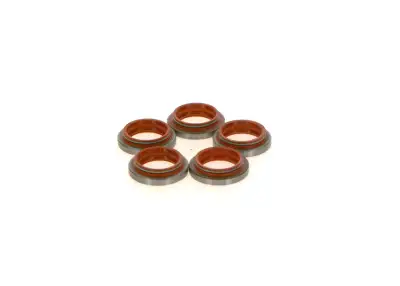 BOSCH 1410281013 Radyal Keçe - 5. Görsel