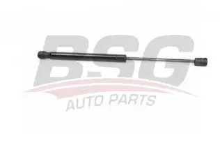 BSG 15980019 Motor Kaput Amortisörü