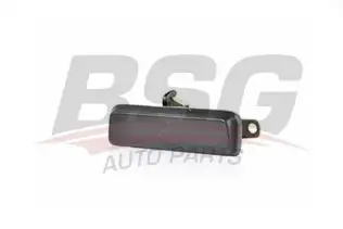 BSG 30970035 Kapı Dış Açma Kolu Sol