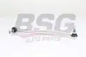 BSG 15310194 Viraj Askı Rotu Ön Sol