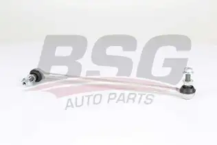 BSG 15310194 Viraj Askı Rotu Ön Sol