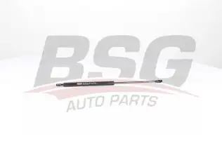 BSG 15980004 Motor Kaput Amortisörü