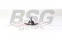 BSG 25310031 Rotil Alt