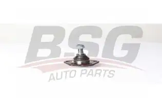 BSG 25310031 Rotil Alt