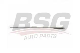 BSG 90924038 Kapı Bandı Ön Sağ