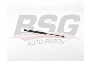 BSG 90980058 Bagaj Amortisörü