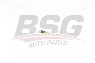 BSG 60840013 Hararet Müşürü