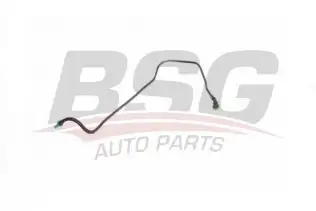 BSG 25725007 Yakıt Borusu