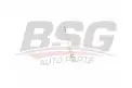 BSG 40870005 Kızdırma Bujisi