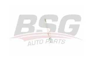 BSG 40870005 Kızdırma Bujisi