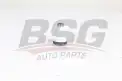 BSG 75310039 Rotil Alt