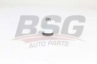 BSG 75310039 Rotil Alt