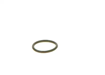 BOSCH F00VC38041 O-Ring - 22. Görsel