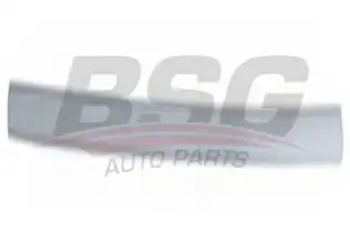 BSG 30924047 Kapı Bandı Ön Sol