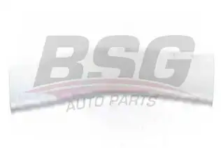 BSG 65925028 Kapı Bandı Ön Sağ