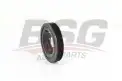 BSG 70170009 Krank Kasnağı