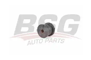 BSG 60700180 Viraj Demir Lastiği Arka