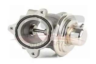 BSG 90836014 Egr Valfi